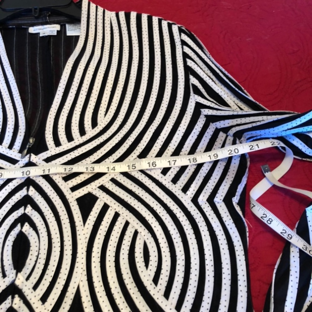 ALEXANDRA ROSATI - L Sz 14 black sheer/white ribbon zip top. GREAT CONDITION! - Picture 12 of 14